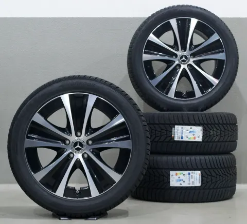 Article MYV6