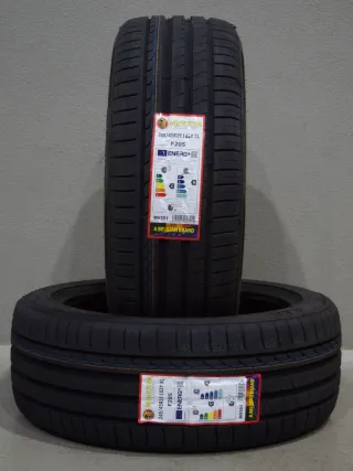 2x Minerva Radial F205 I 245 45 R19 102Y XL I Sommerreifen - Bild 1