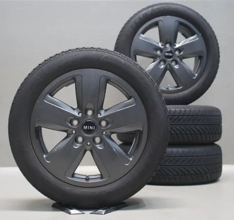 Article DP6M